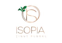 Isopia, Vicovu de Sus