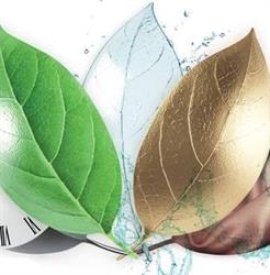 Spălătorie şi curăţătorie ecologică textile şi covoare, Făget
