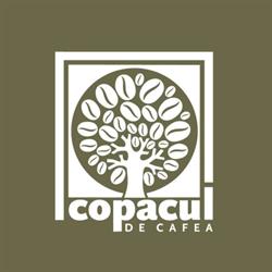 Copacul de cafea, Bistriţa