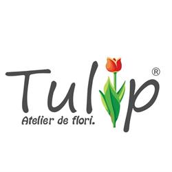 Tulip Atelier De Flori, Iaşi