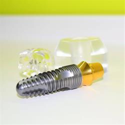 Echo Dental Care, Orbeasca de Sus