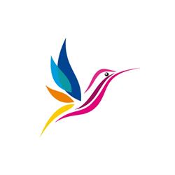 FlyPrint & Design, Rădăuţi