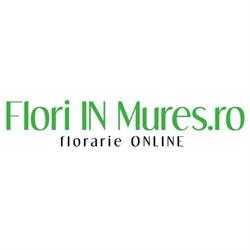 FloriINmures.ro, Târgu Mureş