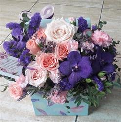 Floraria Gardenia, Tulcea