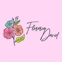 Floraria David, Târgovişte