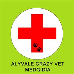 AlyVale CrazyVet, Medgidia