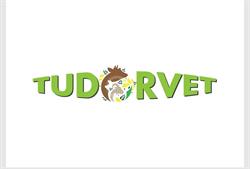 Tudorvet, Niculiţel