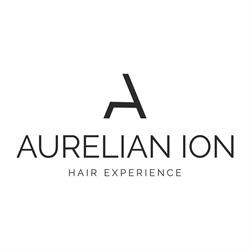 Aurelian Ion Hair Experience, Iaşi