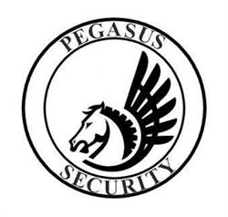 Pegasus Security, Buftea