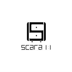 Scara 1 la 1, Tulcea