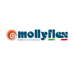Saltele Mollyflex, Oradea