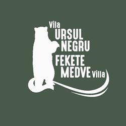 Vila Ursul Negru, Sovata