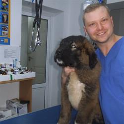 CABINET VETERINAR SI FARMACIE VETERINARA SUCEAVA PRO ANIMALS TINA MED, Suceava
