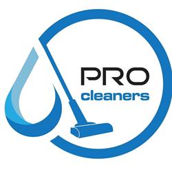 Spalatorie covoare Arad - Pro Cleaners