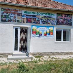 Pet Shop, Gătaia