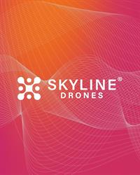 Skyline Drones, Timişoara