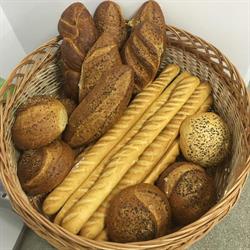 Roger Panaderie, Câmpulung