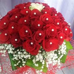 Floraria Coryll Ianca