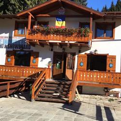 Bradul Skiland, Braşov
