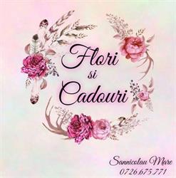 Floraria Flori si Cadouri ( Dancea I. Andreea I.I.), Sânnicolau Mare