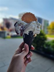 Sapore, Cluj-Napoca