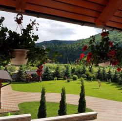 Putnisoara, Putna