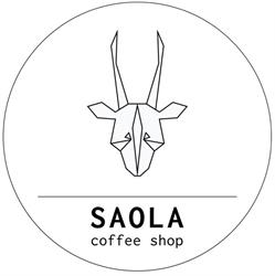 Saola, Bucureşti