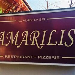 Amarilis, Lugoj