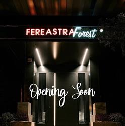 Fereastra Forest, Focşani