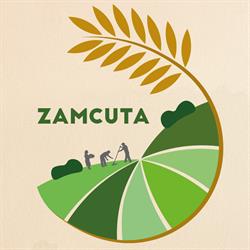 Zamcuta - Furaje si pui de o zi, Suceava, Şcheia
