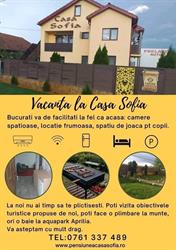 Casa Sofia Targu-Jiu