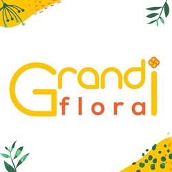 Grandiflora, Ploieşti