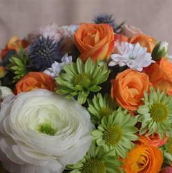 Amazing Flowers, Codlea