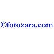 Ciprian Dumitru Fotozara, Focşani