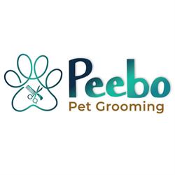 Peebo, Iaşi