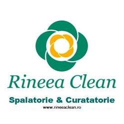 Rineea Clean, Ploieşti