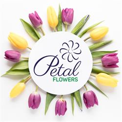 Petal Flowers, Ploieşti