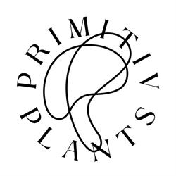 Primitiv Plants, Bucureşti