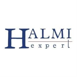 Halmi Expert, Timişoara