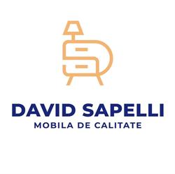 David Sapelli, Bacău