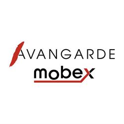 Mobila Avangarde, Timişoara
