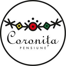 Pensiunea Coroniţa Vişeu de Sus