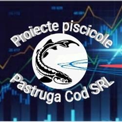 S.C. Păstruga Cod S.R.L., Piatra-Neamţ