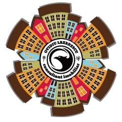 Consultant Imobiliar, Timişoara