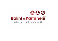 Balint si Partenerii, Roman