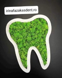 Cabinet Stomatologic IrinaFazakasDent Urgenţe Non-stop, Mediaş