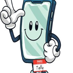 Telly GSM, Timişoara