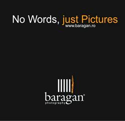 Studio Baragan, Bucureşti