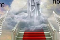 Servicii funerare Medias - La Udi