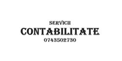 AN CONTA 41 SRL, Alba Iulia